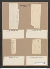 Pleurosigma angulatum var. delicatulum (W.Sm.) V.H. (de-Toni-Nr.: Genus 13, Species 1001) Zeichnungen Sammlung Grunow Nr. 1998 (NHMW-BOT-W0368845)